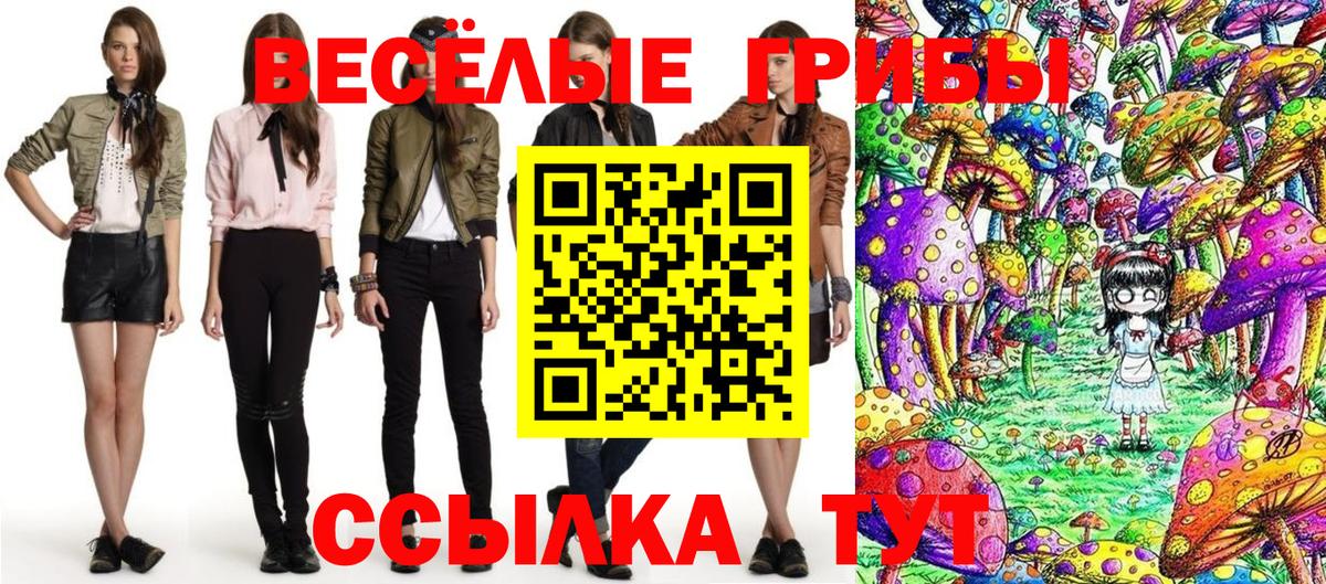 Реутов  Галлюциногенные грибы Psilocybe  Вход с VPN 